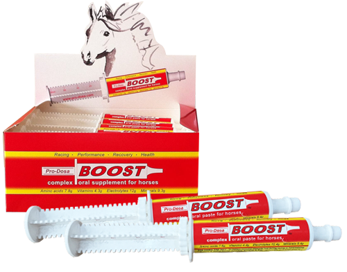 Think All “Boost” Pastes Are The Same?  Think Again! – by Dr Corinne Hills